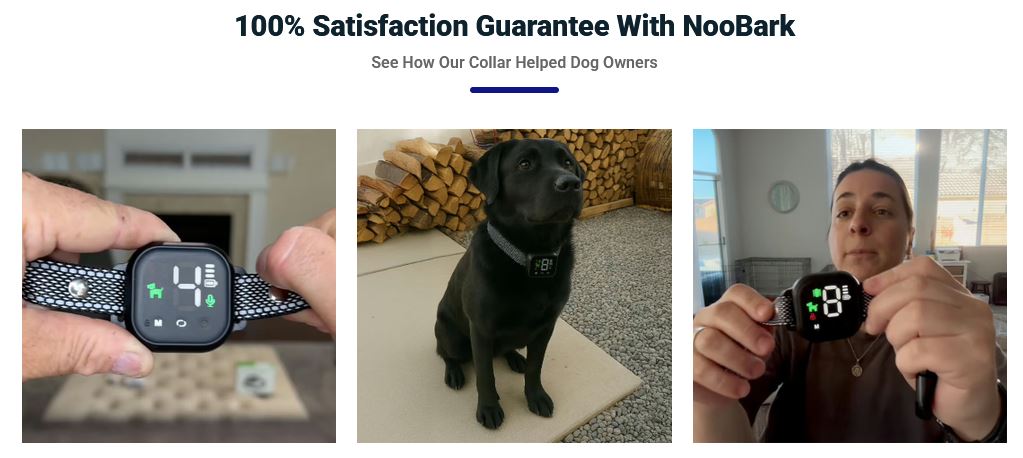 NooBark Anti-Bark Collar 2