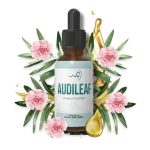 AudiLeaf