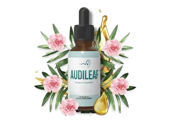 AudiLeaf